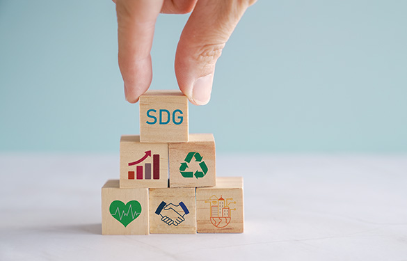 CASE01 サステナビリティ支援